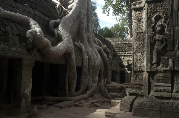 Angkor wat. siem ernten. Kambodscha — Stockfoto