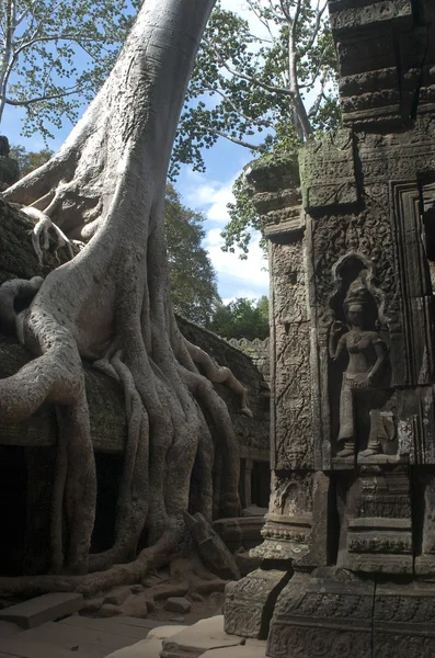 Angkor wat. Siem reap. Kambodża — Zdjęcie stockowe