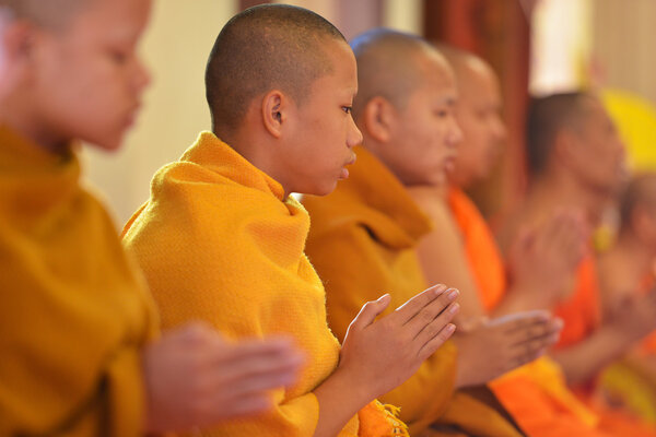 Monks, Chiang Mai, Thailand