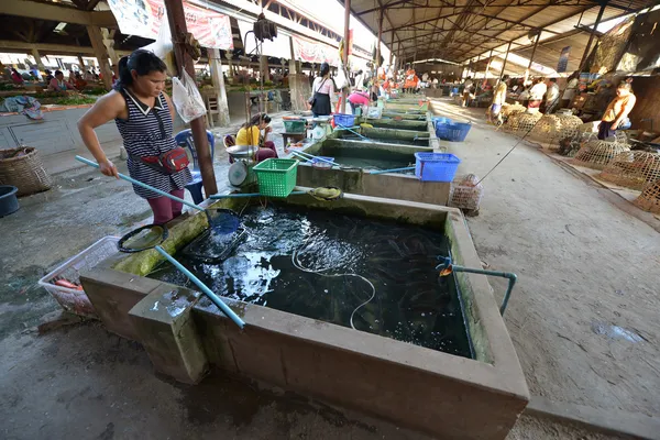 Luang Nam Tha, Laos — Stockfoto