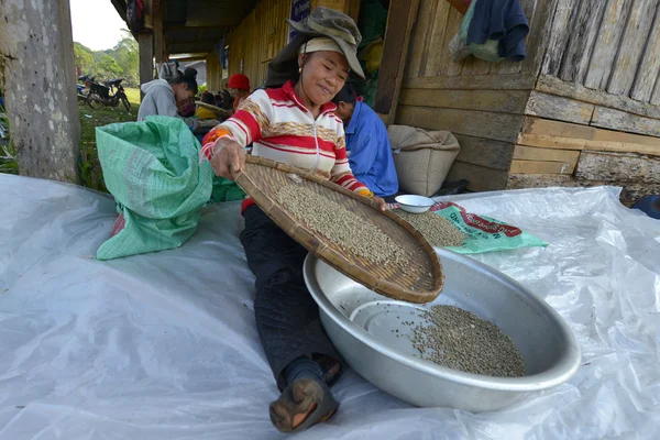 Paksong, Planalto Bolaven, Laos — Fotografia de Stock