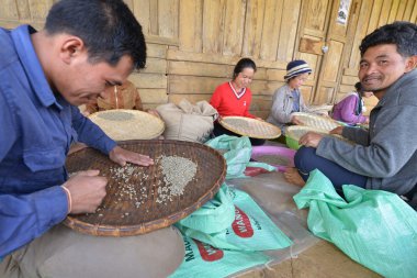 Paksong, bolaven Yaylası, laos