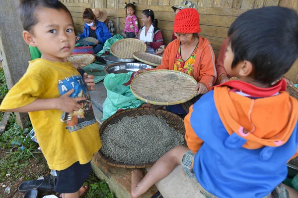 Paksong, Planalto Bolaven, Laos — Fotografia de Stock