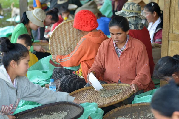 PAKSONG, meseta de bolaven, laos — Foto de Stock