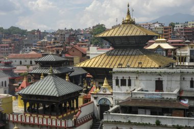 Pashupatinath Tapınağı, Katmandu, Nepal 'deki Bagmati Nehri' nde bulunan bir Hindu tapınağıdır..