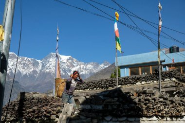 Thini, Nepal - Kasım 2021: 2 Kasım 2021 'de Aşağı Mustang' deki Thini köyünde elma taşıyan bir adam