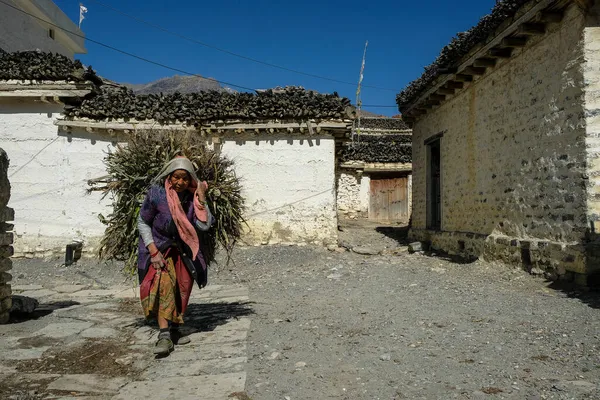 Thini Nepal Noviembre 2021 Una Mujer Cargando Hierba Pueblo Thini — Foto de Stock