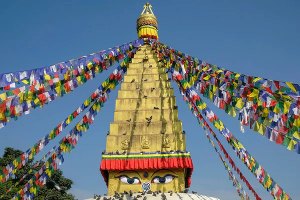 Charumati Stupa Built Charumati Daughter Indian Emperor Ashoka 4Th Century — Stock Photo, Image