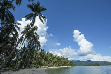 Port Barton, Palawan, Filipinler 'deki beyaz plaj.
