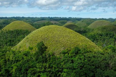 Bohol, Filipinler - Temmuz 2022: Çikolata Tepeleri Bohol Adası 'nda 3 Temmuz 2022 tarihinde Bohol, Filipinler' de meydana gelen bir jeolojik oluşum..