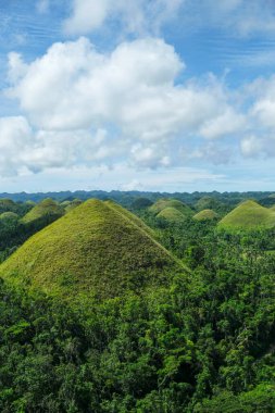 Bohol, Philippines - July 2022: The Chocolate Hills are a geological formation in Bohol Island on July 3, 2022 in Bohol, Philippines. clipart