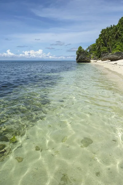 Views Monkey Beach Siquijor Island Located Central Visayas Region Philippines — Stock fotografie