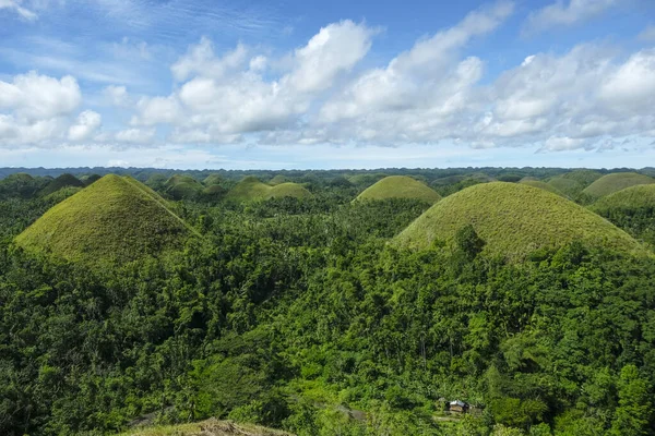 Bohol Philippines July 2022 Chocolate Hills Geological Formation Bohol Island — Stock Photo, Image