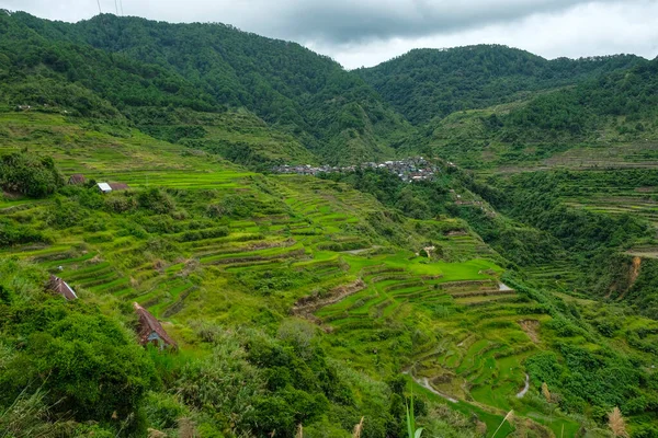Rice Terraces Maligcong Northern Luzon Philippines — Foto de Stock