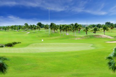plam ağacı ile Golf Sahası