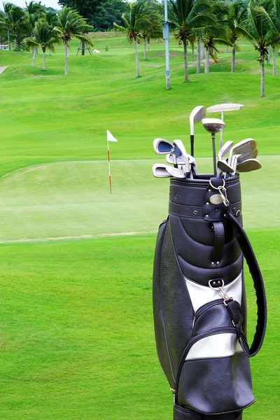 Гольф-пакет с пальмой на поле для гольфа — стоковое фото