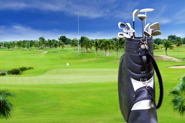 Golftasche mit Palme auf Golfplatz — Stockfoto