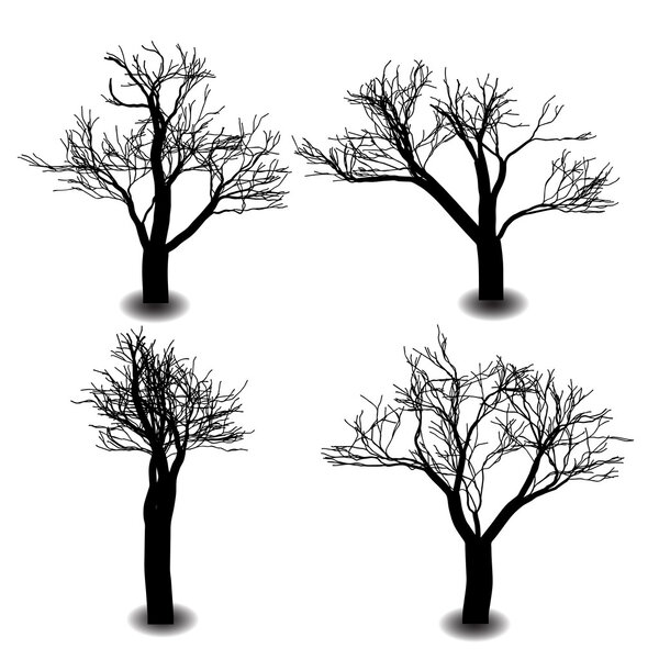 Four die tree silhouette on background
