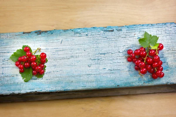 Bunch Red Currants Green Leaf Old Wooden Blue Cracked Background — Stock Photo, Image
