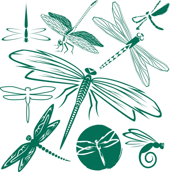 Dragonfly Collection — Stock Vector