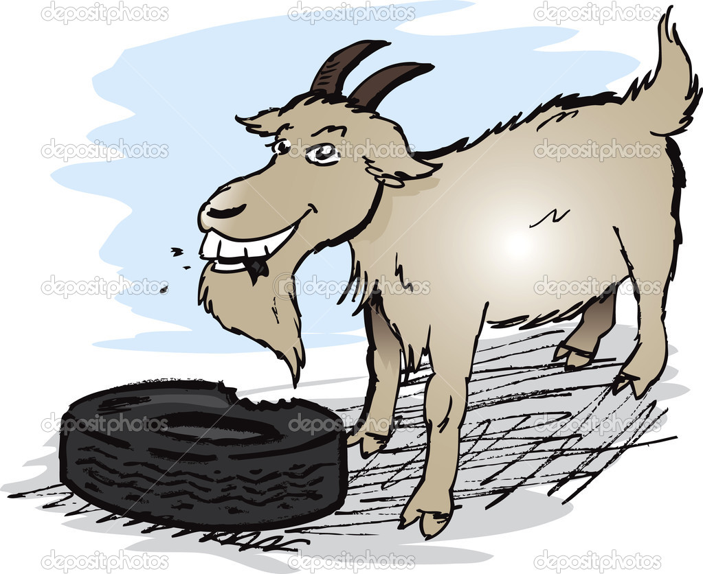 Tire-eating Goat