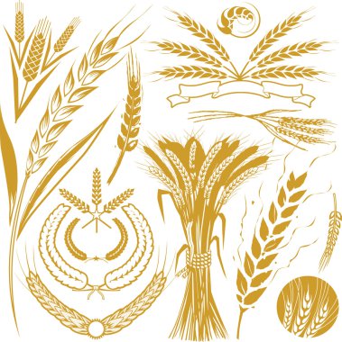 Wheat Collection clipart