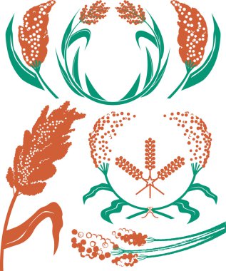 sorgum koleksiyonu