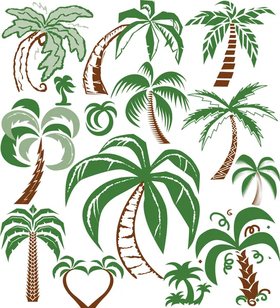 Palmiye ağacı koleksiyonu — Stok Vektör