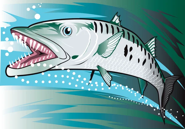 Barracuda — Stock Vector