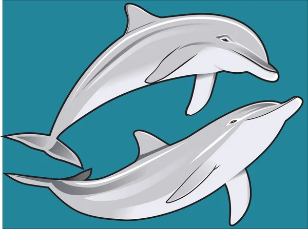Dolphin Duo — Stock Vector
