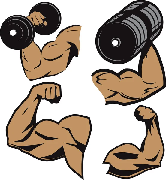 Weightlifter Arms Stock Vector. 