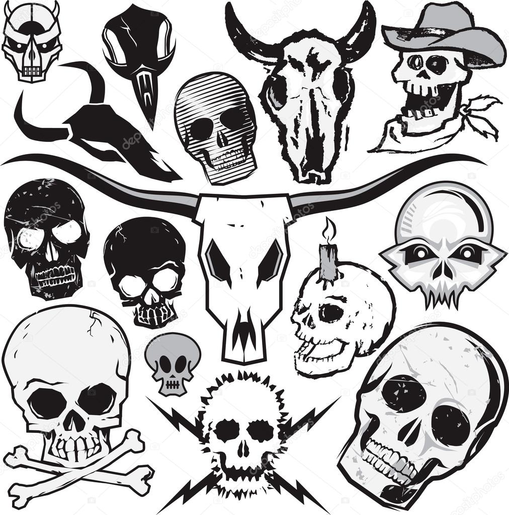 Skull Collection