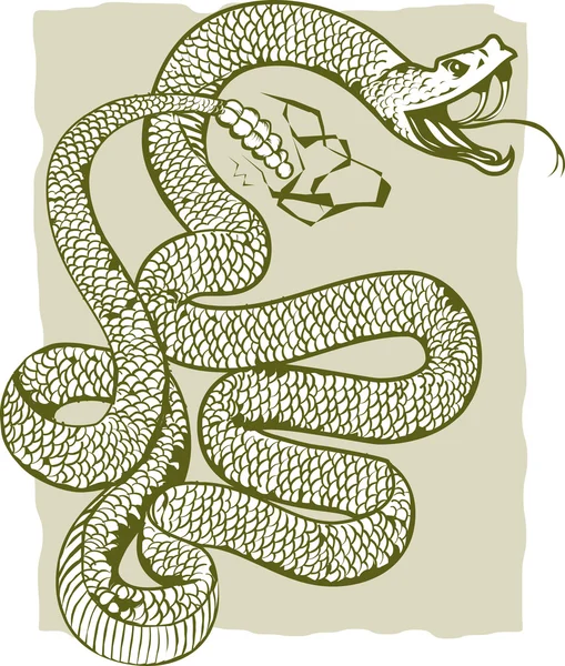 Çıngıraklı yılan — Stok Vektör