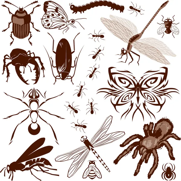 Hmyzu kolekce — Stockový vektor