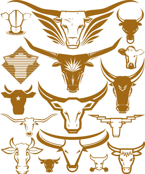 Cow and Bull Head Collection