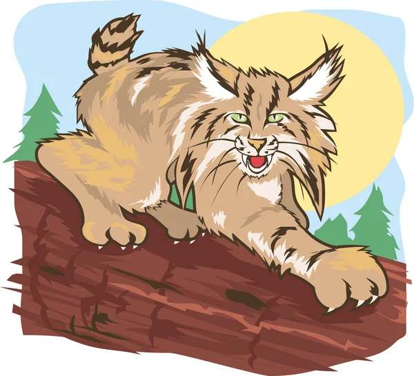 Harceler Lynx — Image vectorielle