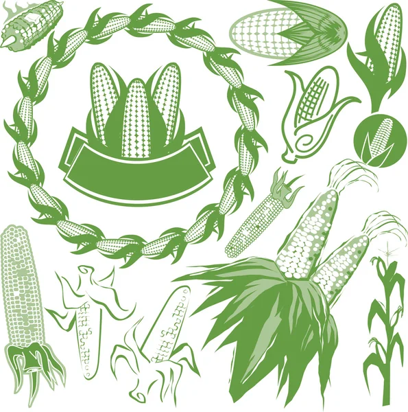 Corn Collection — Stock Vector