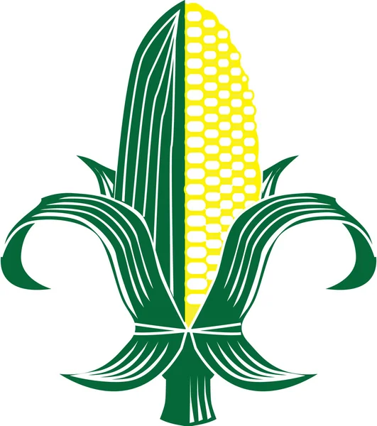 Flor de Lis de maíz — Vector de stock