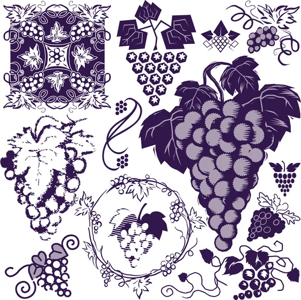 Коллекция винограда — стоковый вектор