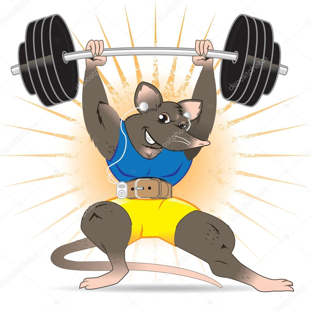 Rat Gym Stock Illustrations – 121 Rat Gym Stock Illustrations, Vectors &  Clipart - Dreamstime