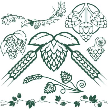 Hops Collection clipart