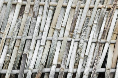 Bambu çit