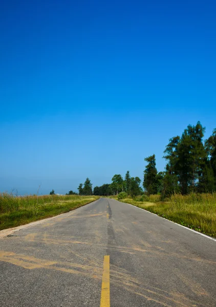 asphalted road