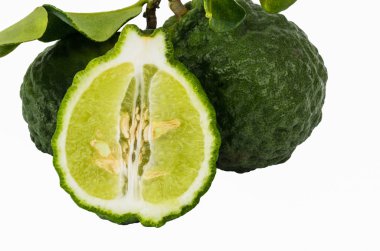 Güney Afrika'da bir kabile kireç izole