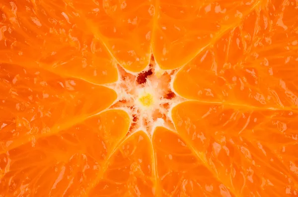 Närbild av en orange frukt — Stockfoto