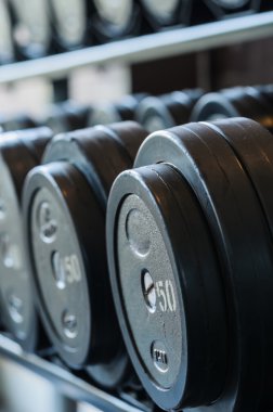 spor salonunda karakeçi ağırlıkları