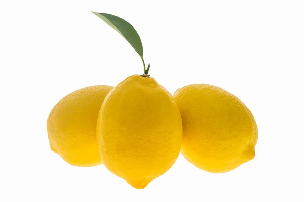 Frische Zitrone isoliert — Stockfoto