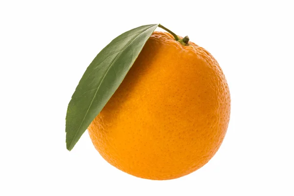 Fruta laranja isolada — Fotografia de Stock