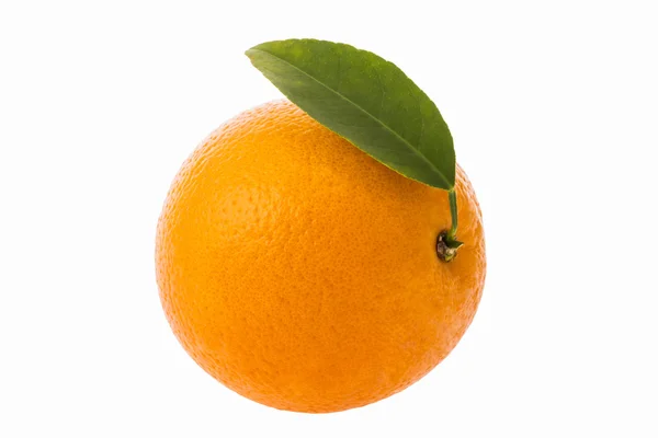 Orangenfrucht isoliert — Stockfoto