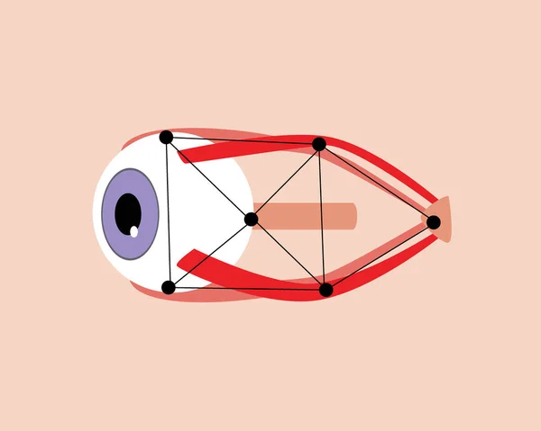 人間の眼と視神経 解剖学的平面ベクトルストックイラストレーター 近代的な技術で臓器のスキャン 隔離された眼球とアイレット — ストックベクタ